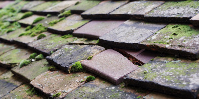 Grafham roof repair costs